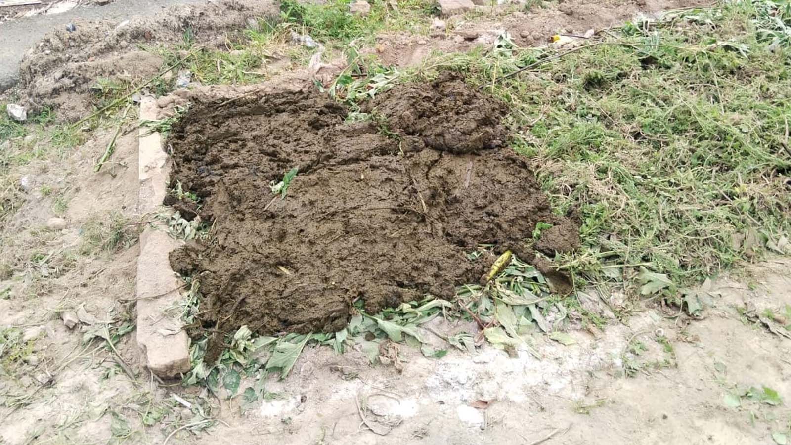 Sustainable agriculture in Nilgiris