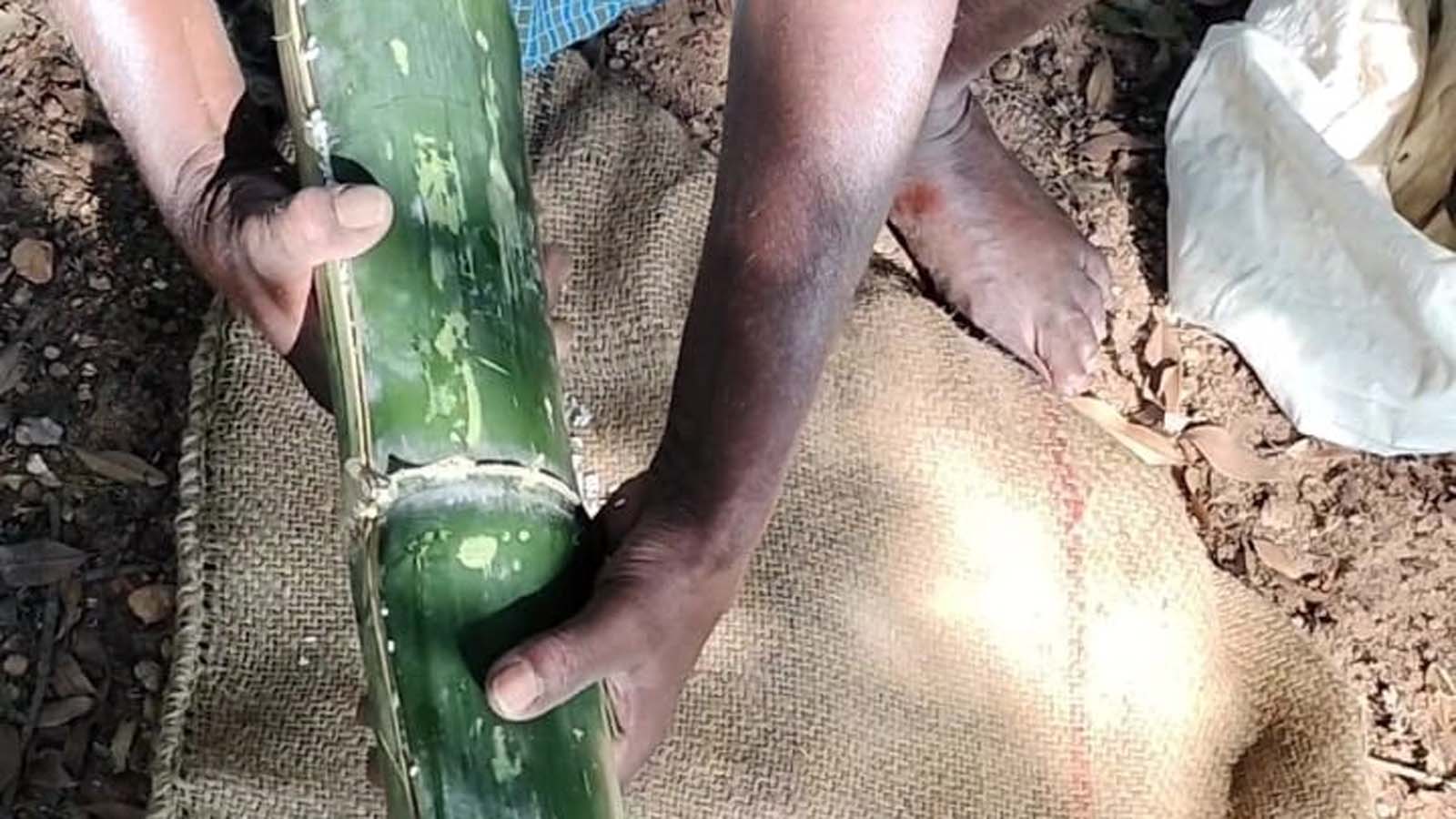 Sustainable agriculture in Nilgiris