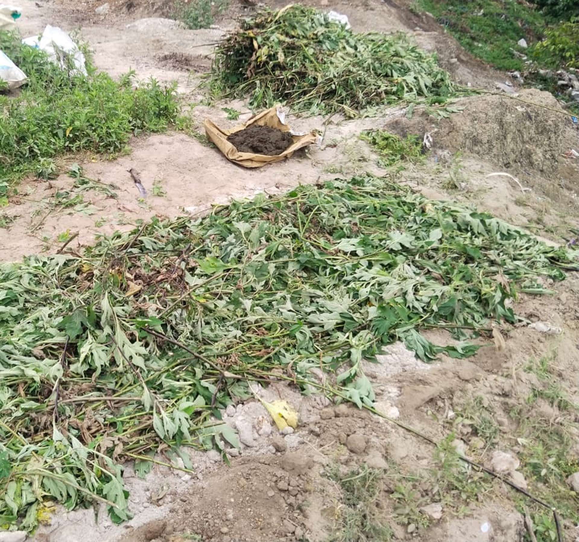 Sustainable agriculture in Nilgiris