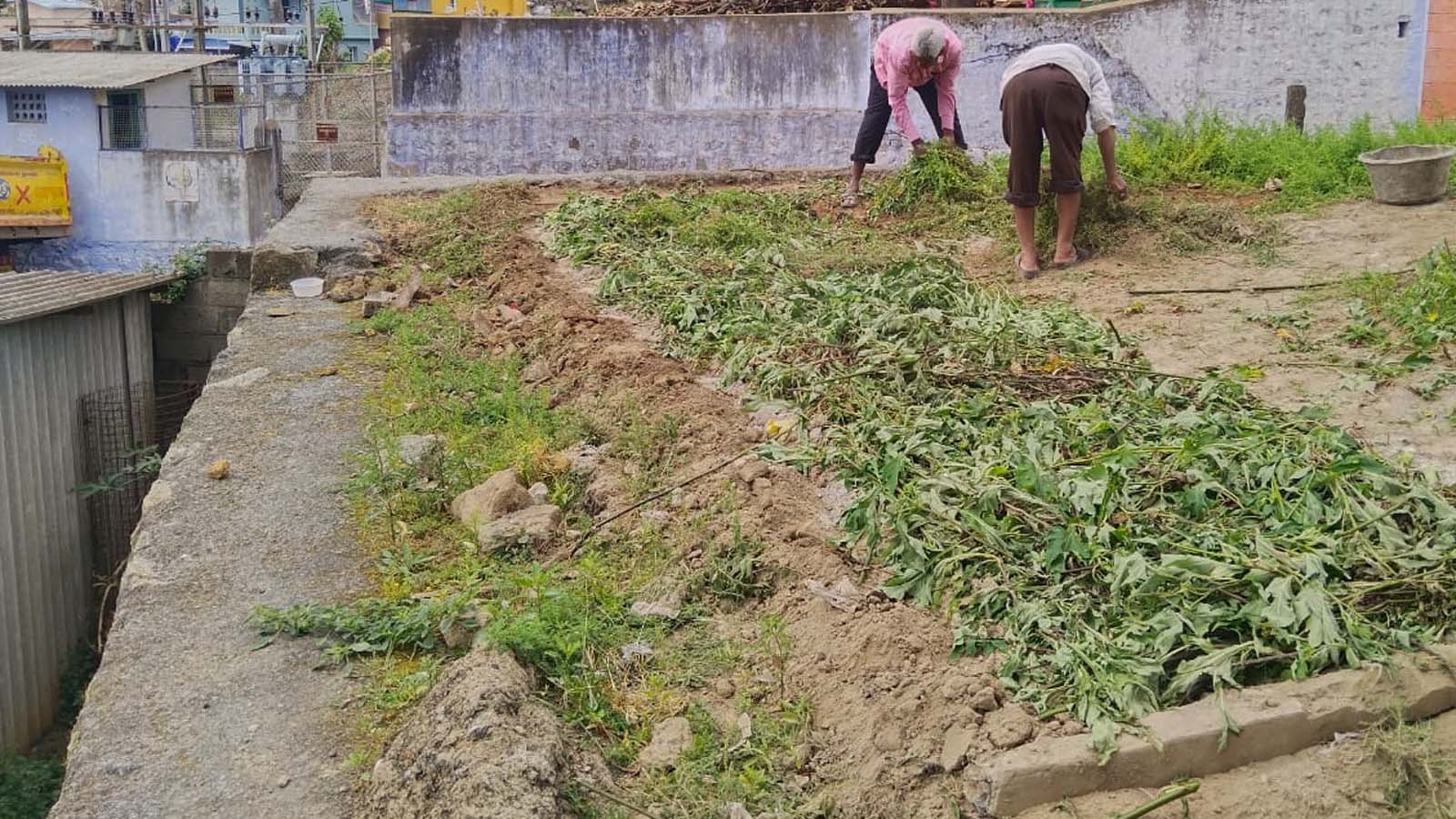 Sustainable agriculture in Nilgiris