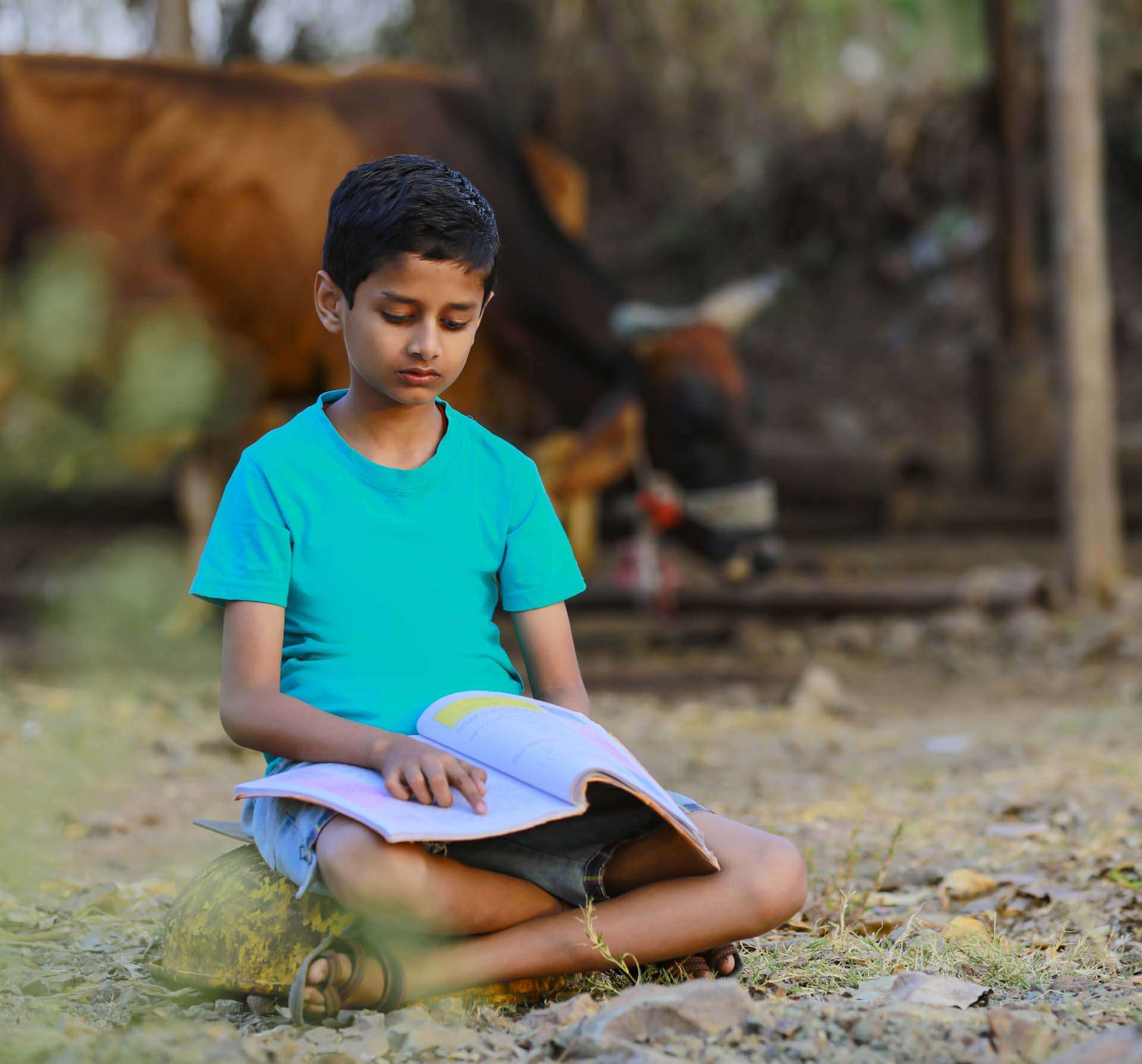 Agricultural education in Nilgiris